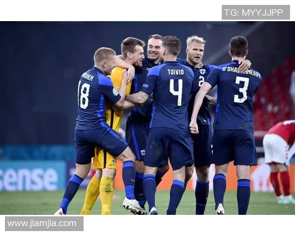 芬兰足球明星队员介绍及其在国际赛场上的表现分析